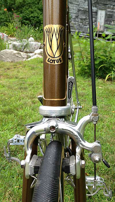 1983 Lotus Classique Head tube in Bronze