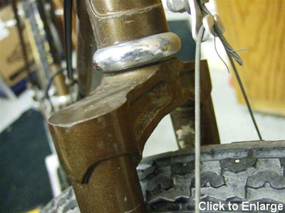 Lotus Pegasus Fork Crown