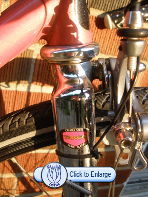 1987 Lotus Legend Fork
