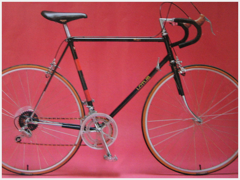1981 Lotus Unique Catalog Photo 1981 Lotus Unique Catalog Photo