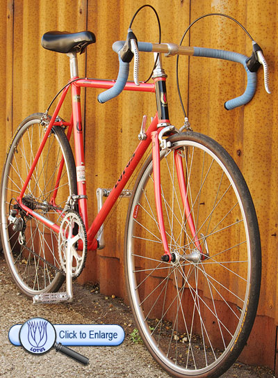 1986 Lotus Unique in Pearl Coral